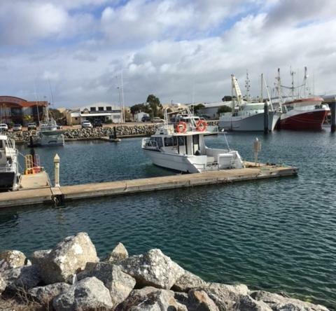 Port Lincoln Shark Apartment 3 Zewnętrze zdjęcie